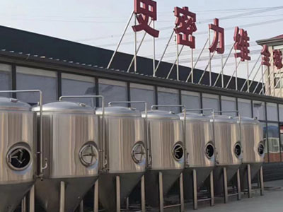 碌曲精酿啤酒设备厂—市场规模与跨界新需求